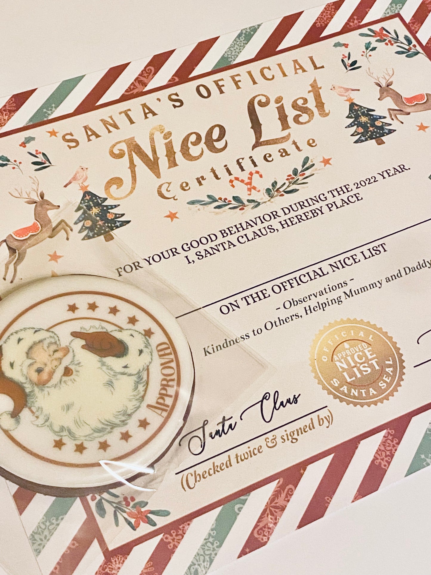 Nice List Biscuit (collection only)